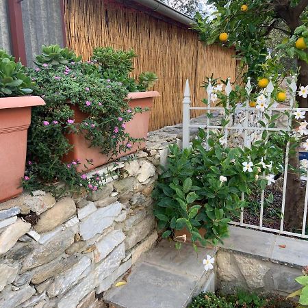 Antica Casa Nel Borgo Apartman Pietrasanta Kültér fotó