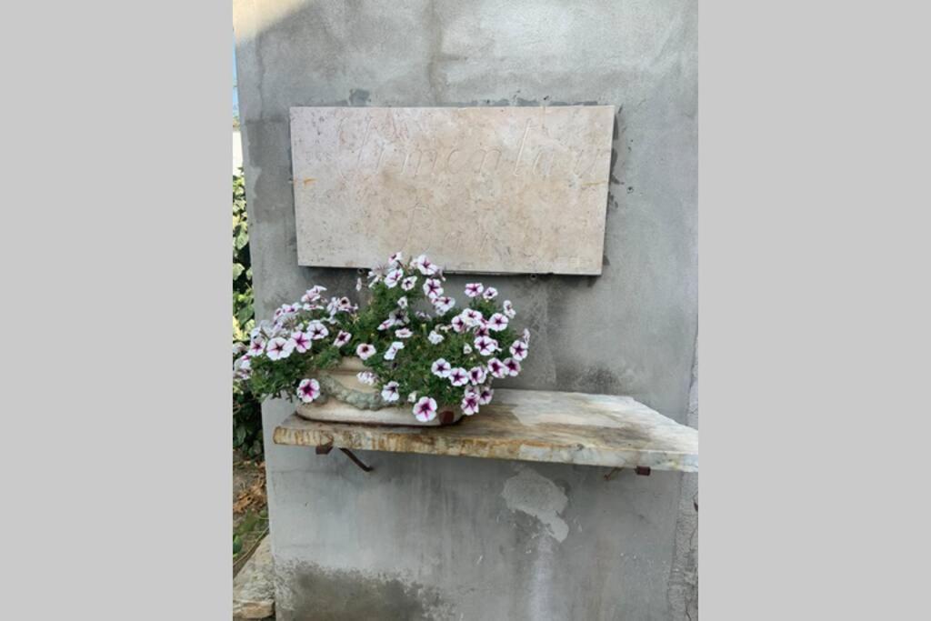Antica Casa Nel Borgo Apartman Pietrasanta Kültér fotó