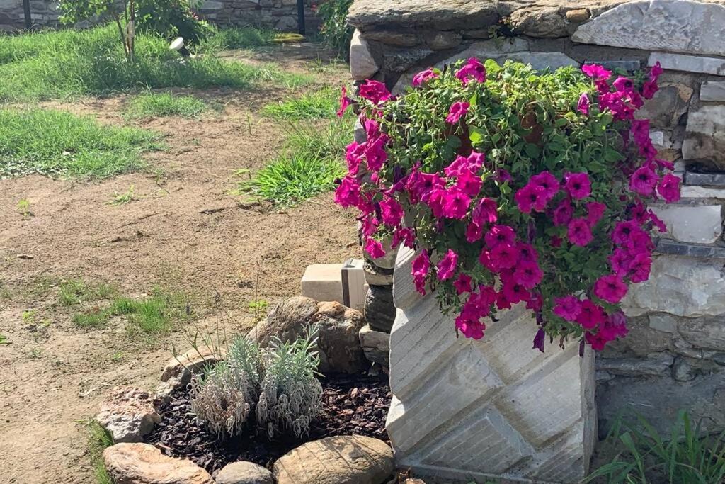 Antica Casa Nel Borgo Apartman Pietrasanta Kültér fotó