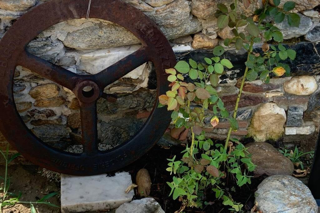 Antica Casa Nel Borgo Apartman Pietrasanta Kültér fotó