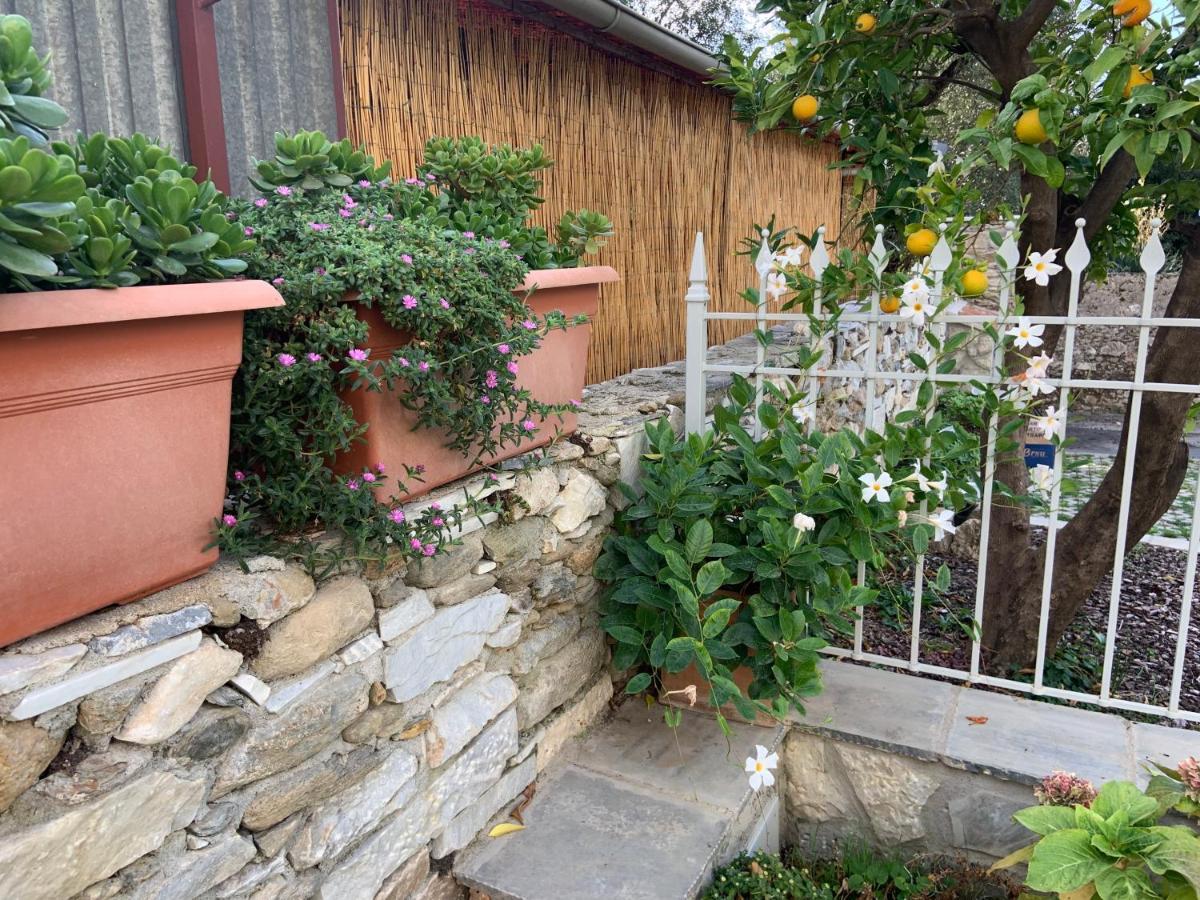 Antica Casa Nel Borgo Apartman Pietrasanta Kültér fotó